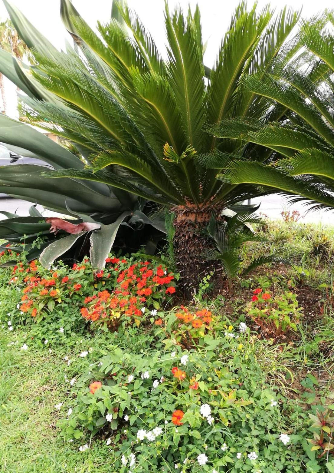 Appartamento Casa Luce Marina di Massa Esterno foto